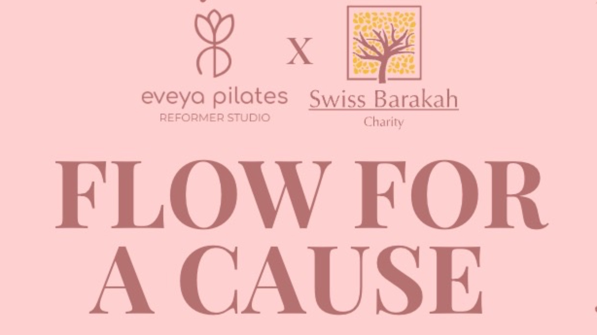FLOW FOR A CAUSE - Reformer Pilates Charity Event