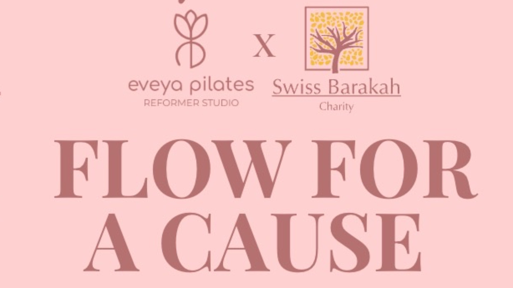 FLOW FOR A CAUSE - Reformer Pilates Charity Event