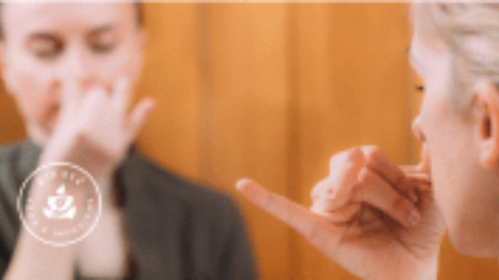 PRANAYAMA DU SOUFFLE RESPIRATOIRE AU SOUFFLE PRANIQUE