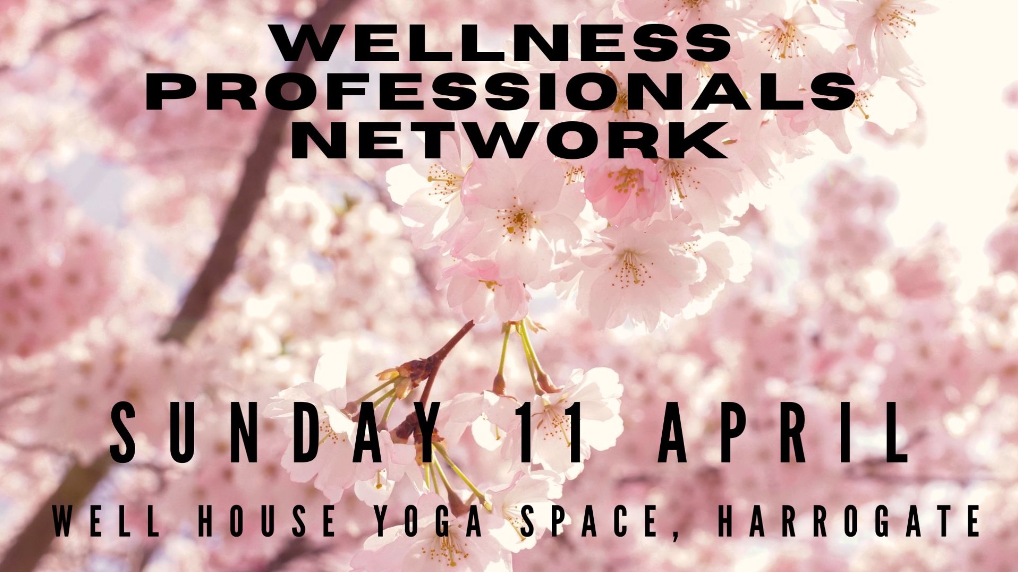 Wellness Professionals Network - Spring