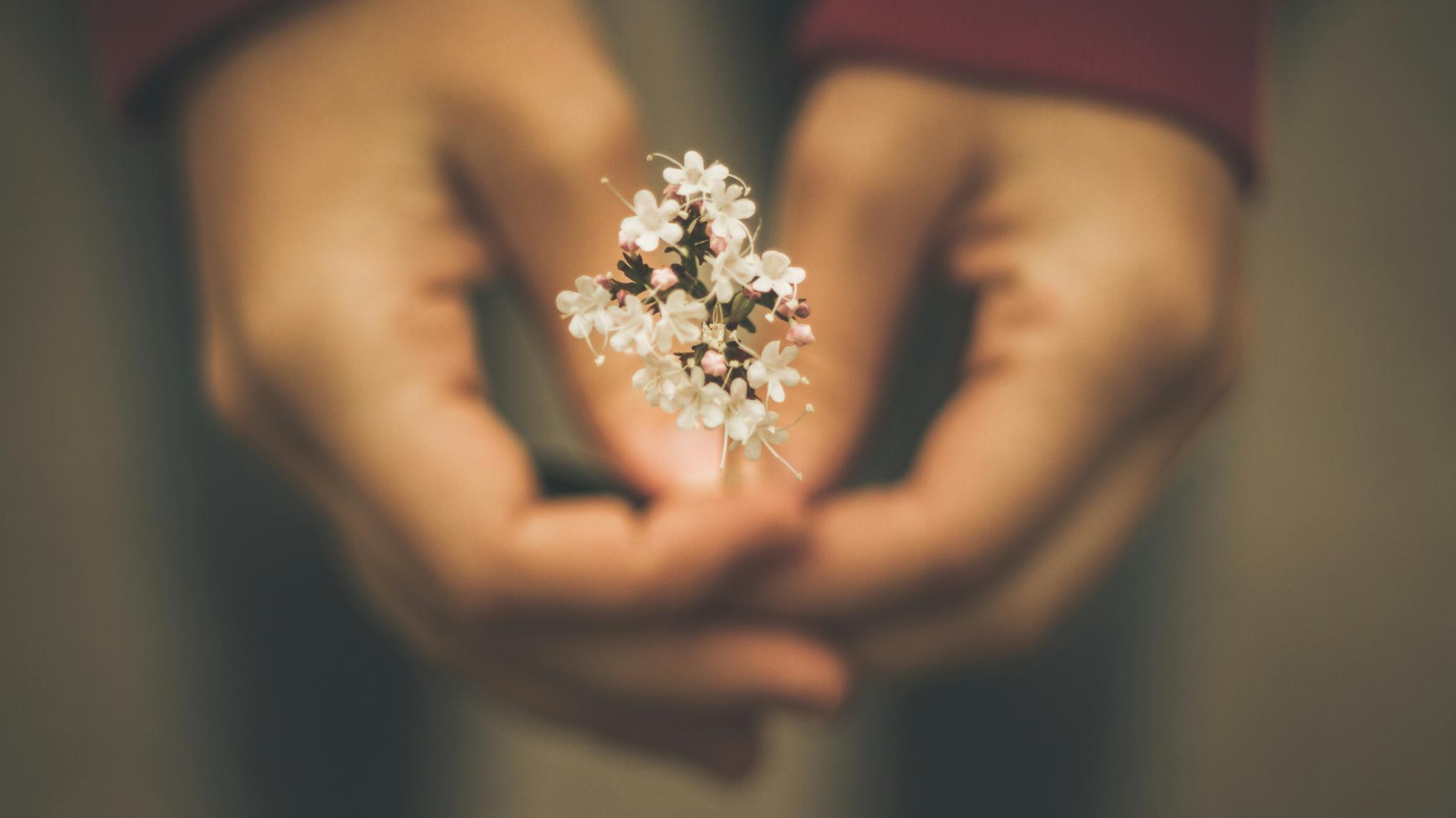 Pause & Exhale: A Free Gathering for World Mental Health Day