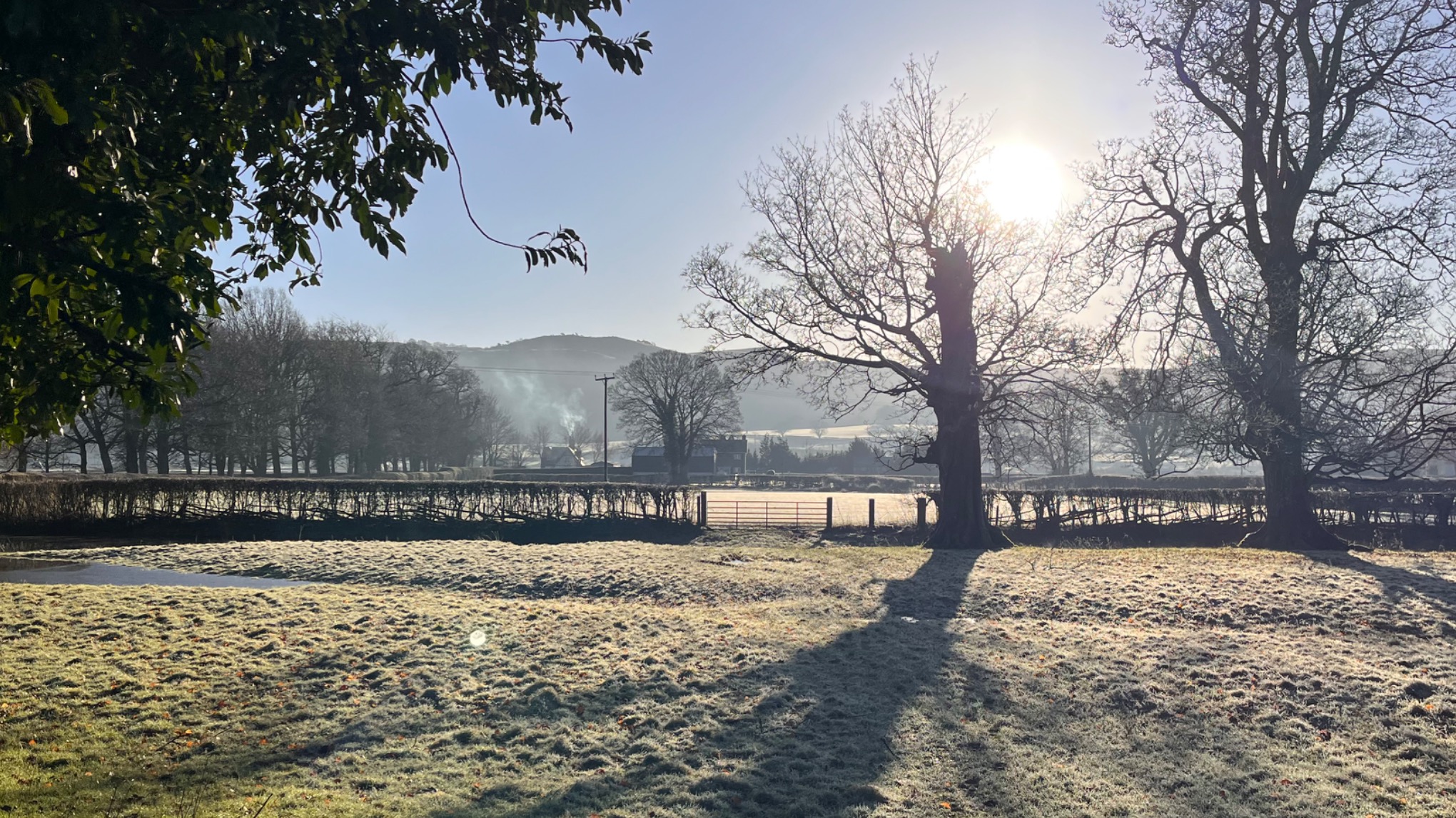 New Beginnings New Year Yoga Retreat
