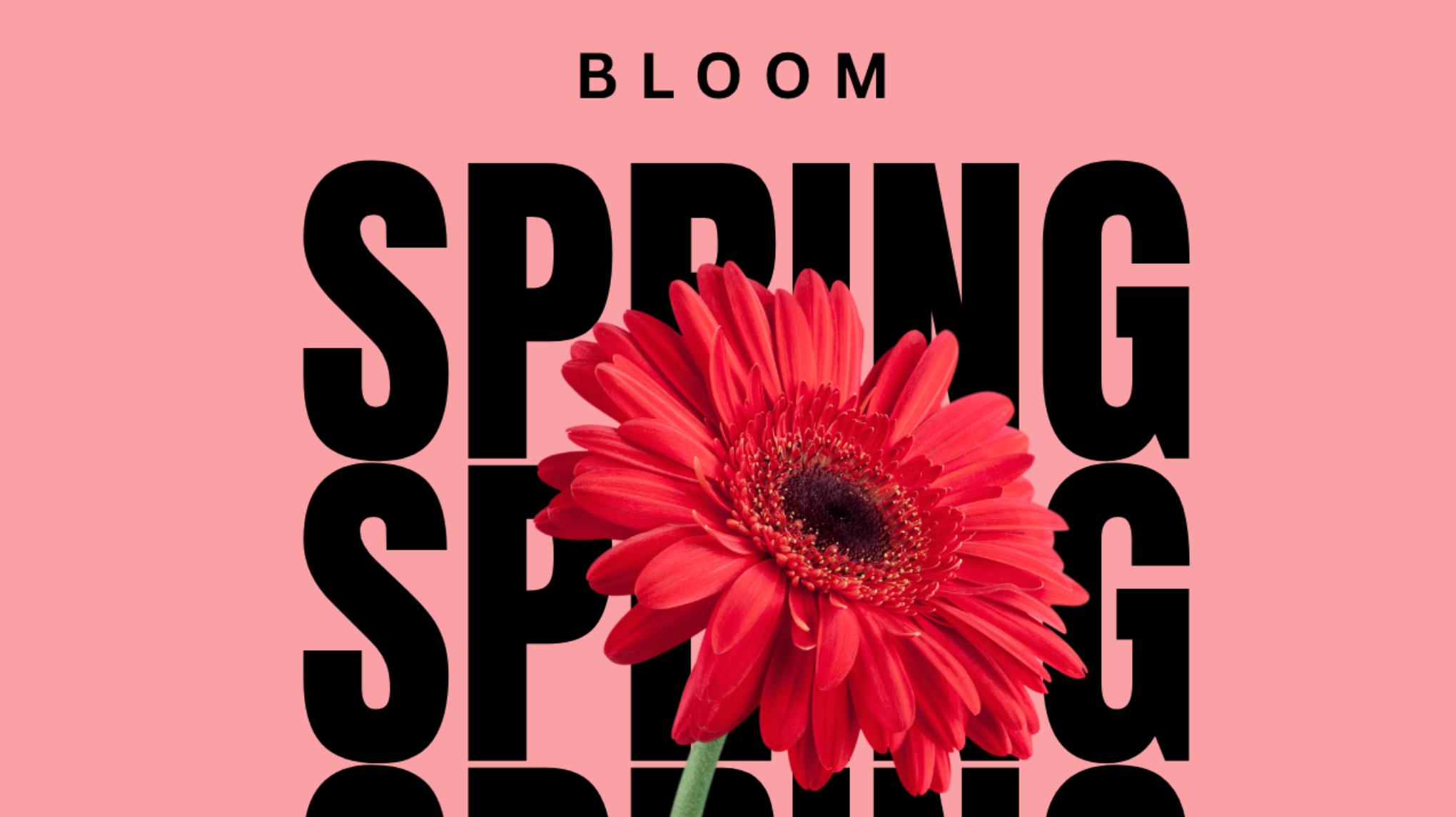 Spring BLOOM - Coming November 1 2026