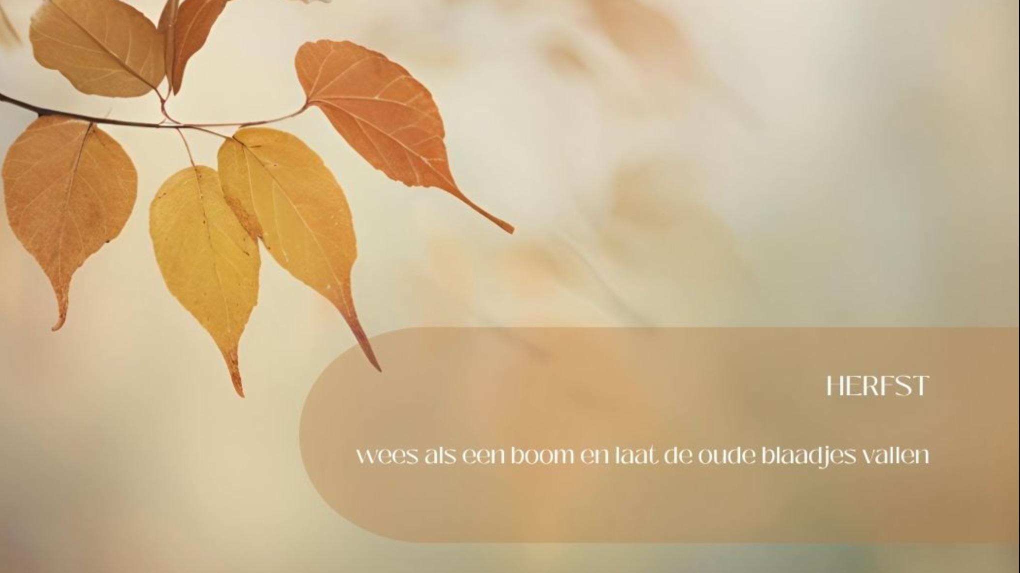 Yin Qi Flow & Yoga Nidra: herfst