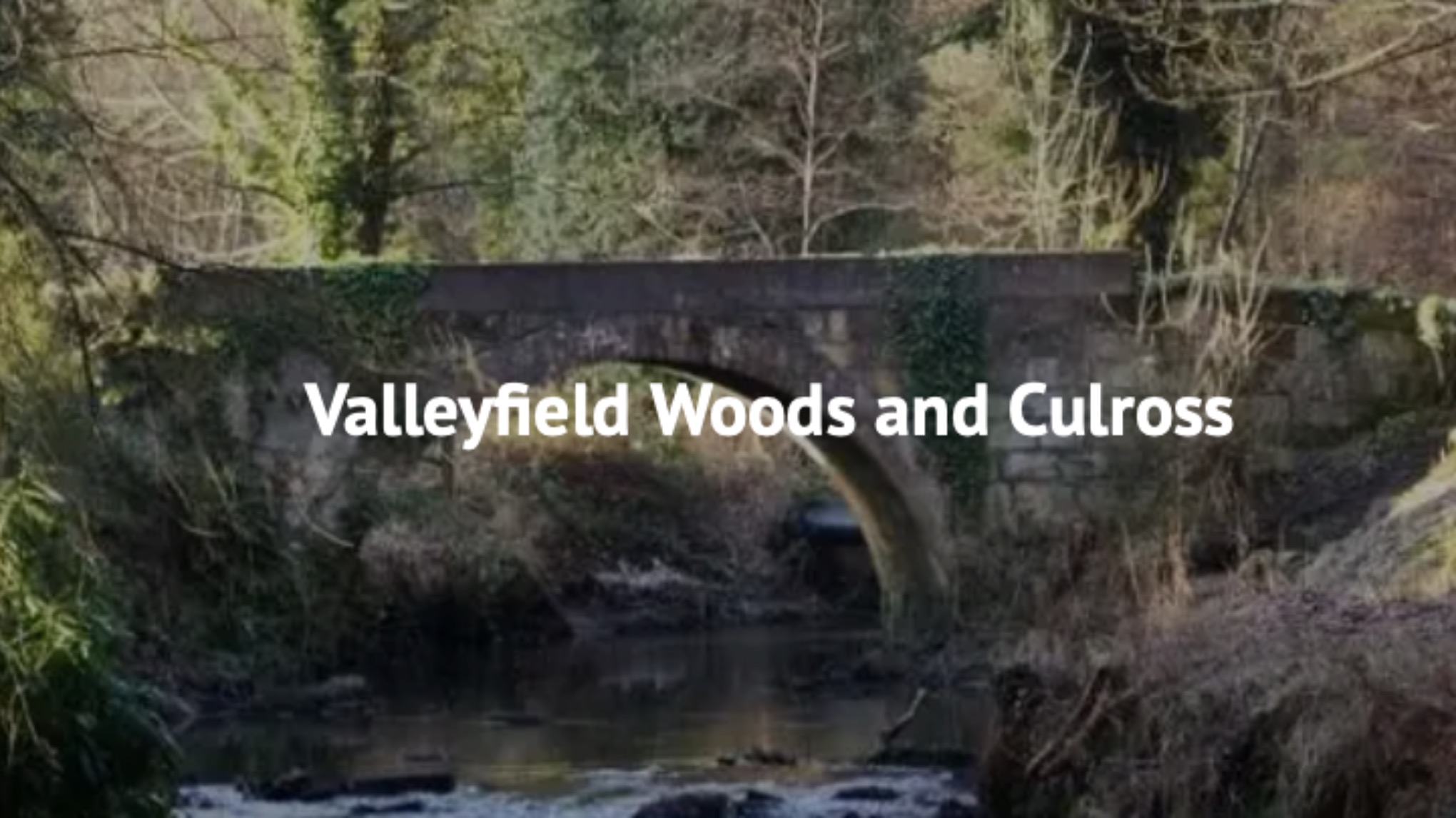 Gimmie Wellbeing - £FREE Valleyfield Woods walk