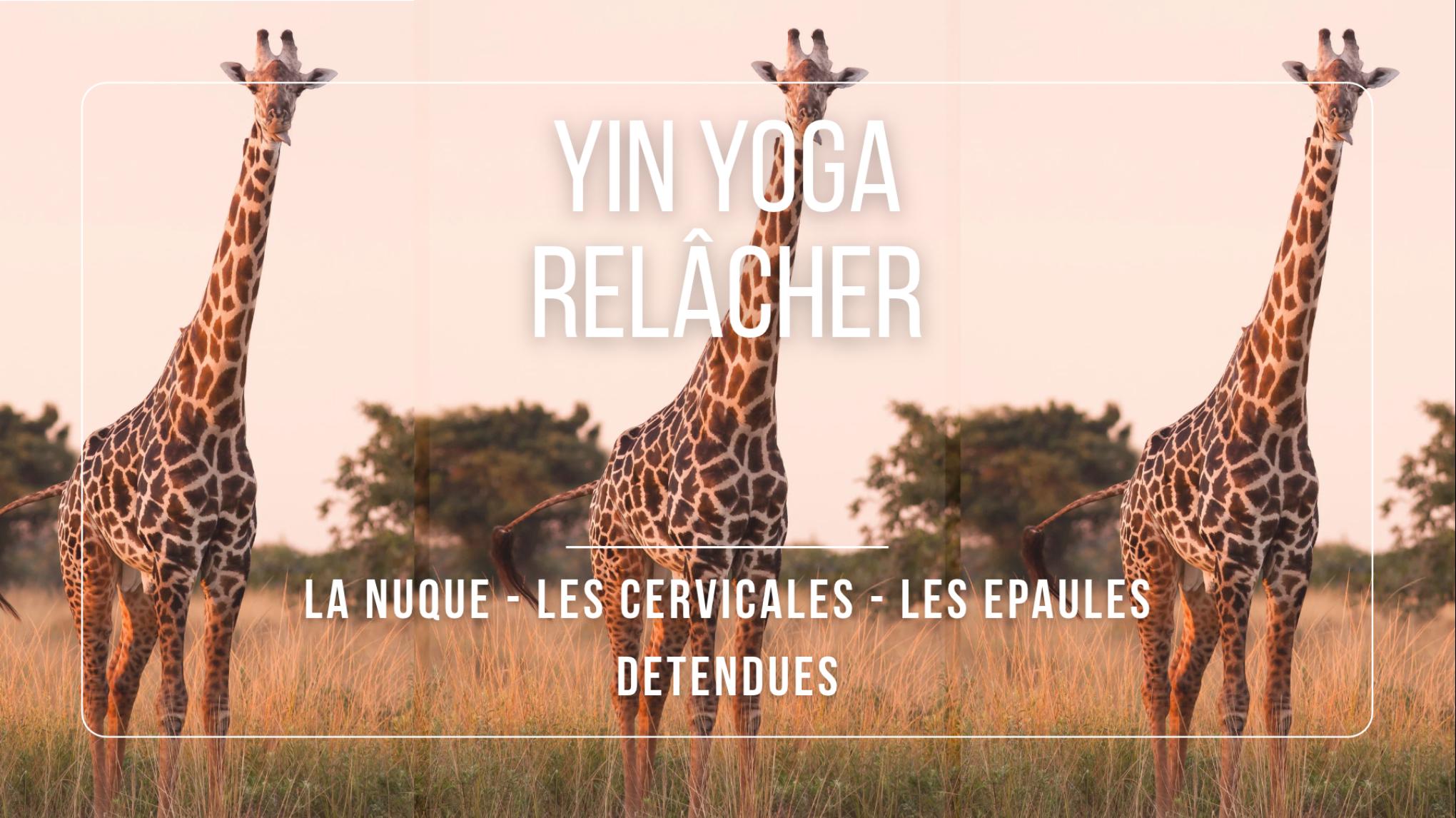 Yin Yoga - Relâcher (la nuque, les cervicales, les épaules)