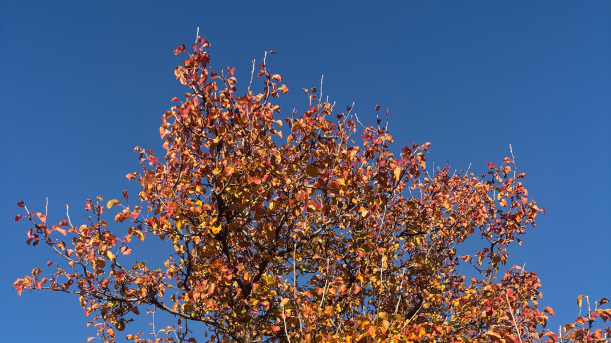 Autumn Hike + Yoga
