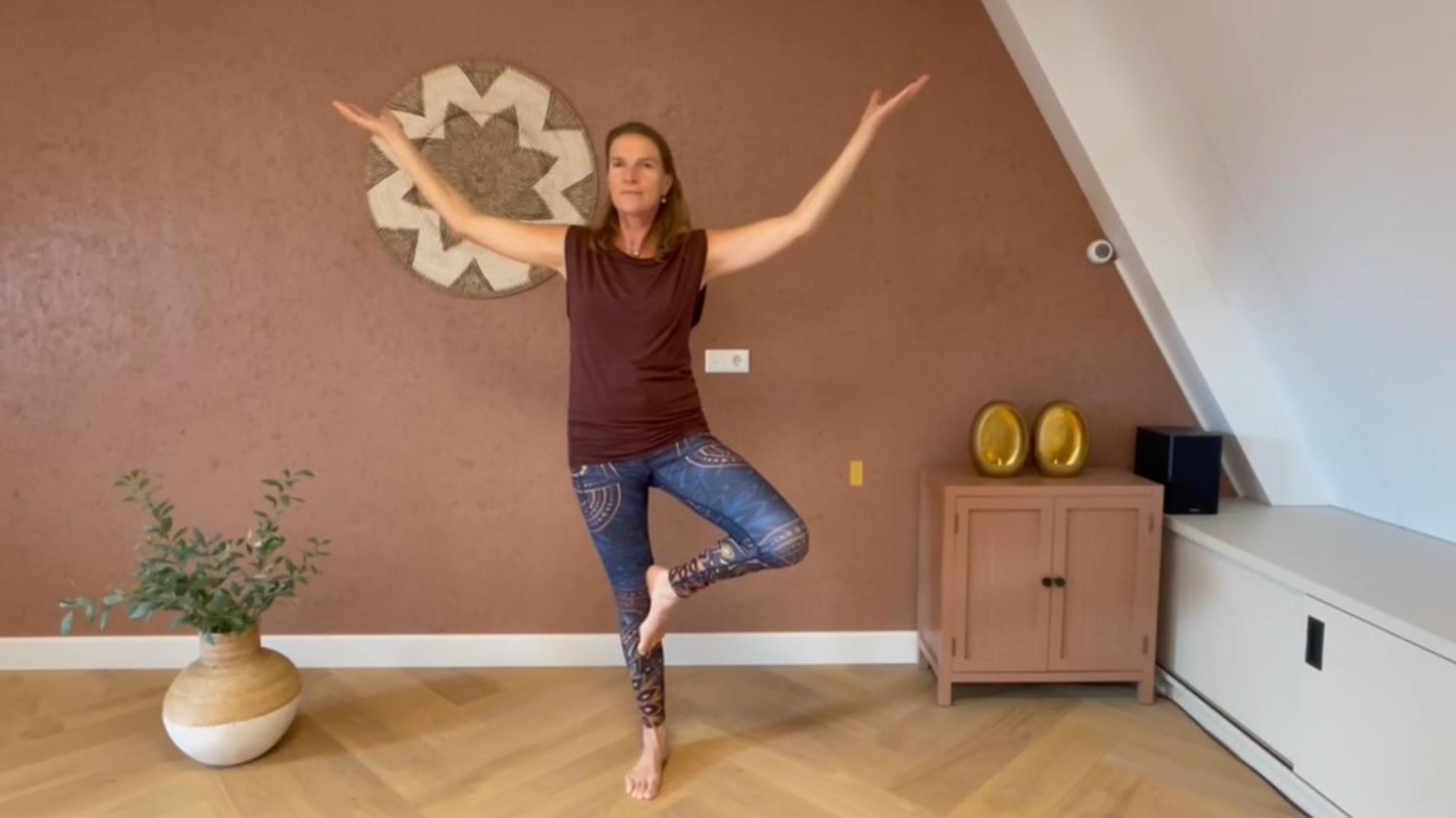Workshop Yogadans