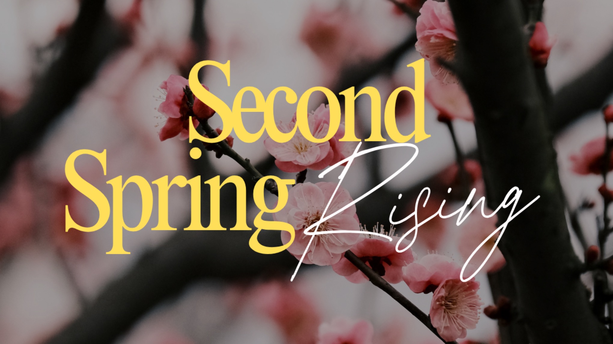 Second Spring Rising - workshop for navigating perimenopause & menopause