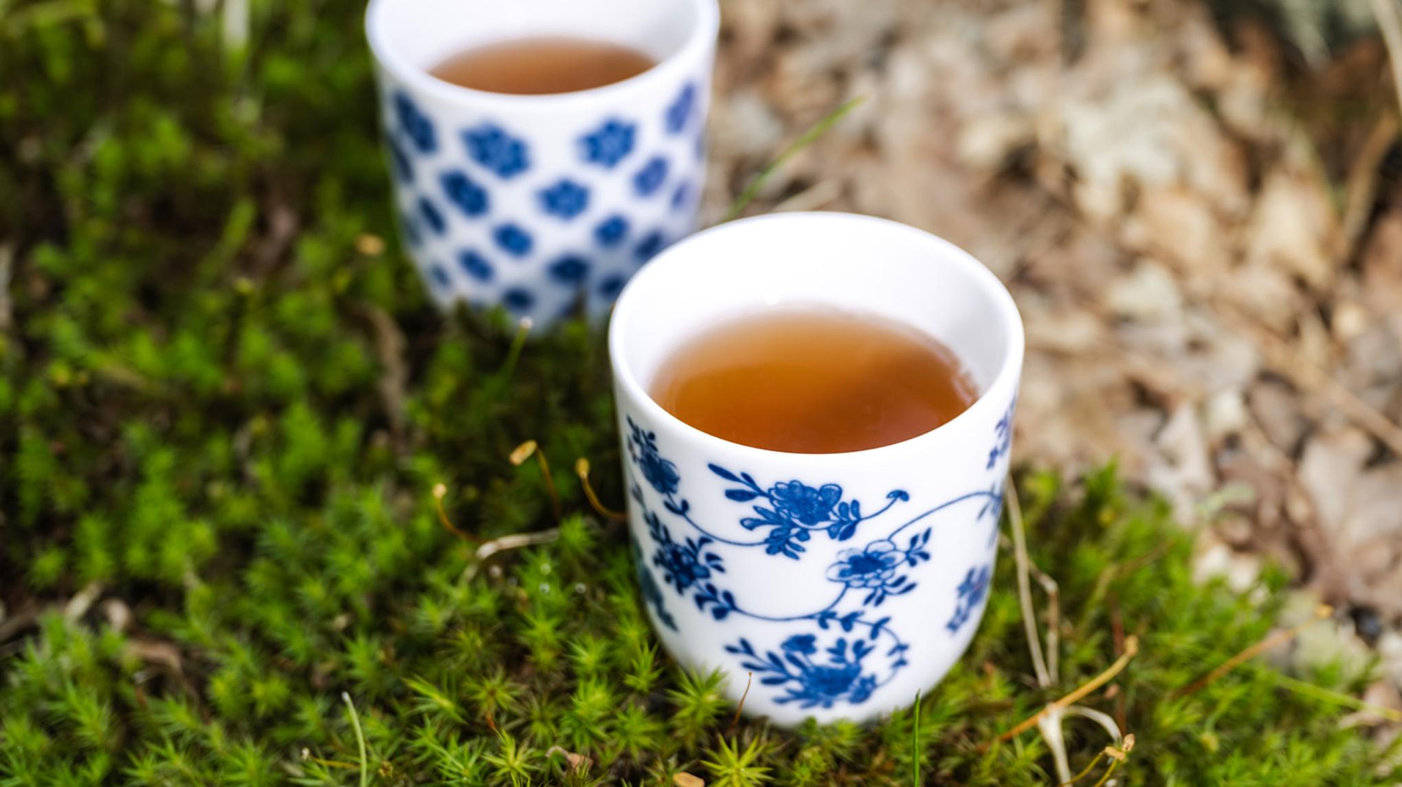 Nieuw! Meditatiecafé ☕