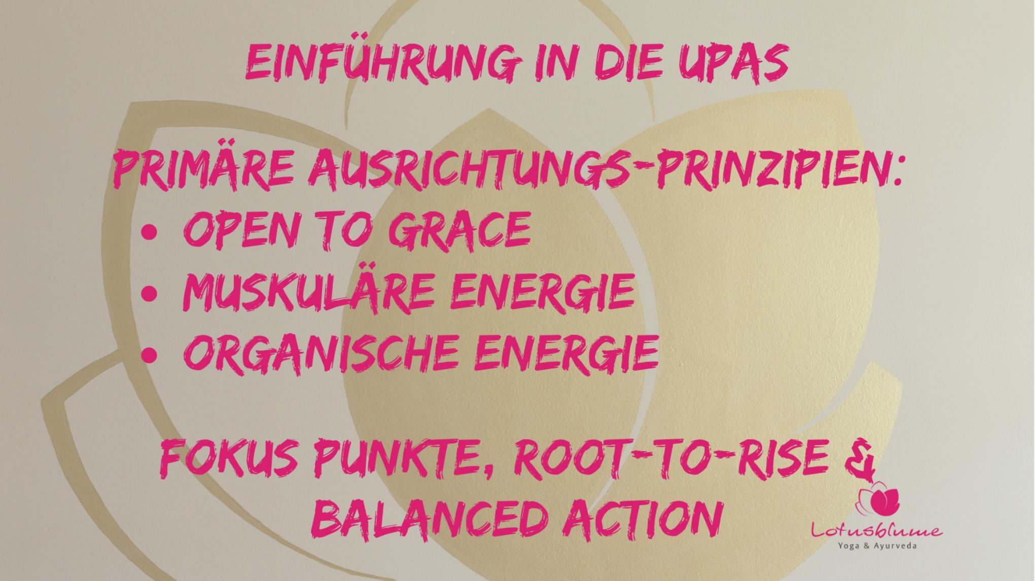 Fünf Universelle Ausrichtungsprinzipien - Modul 1
