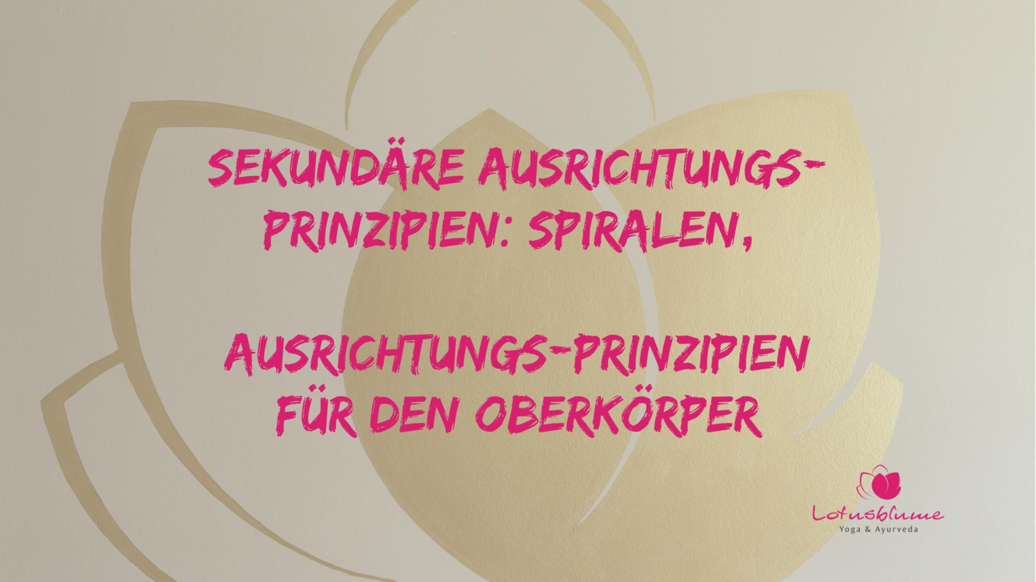 Fünf Universelle Ausrichtungsprinzipien - Modul 2
