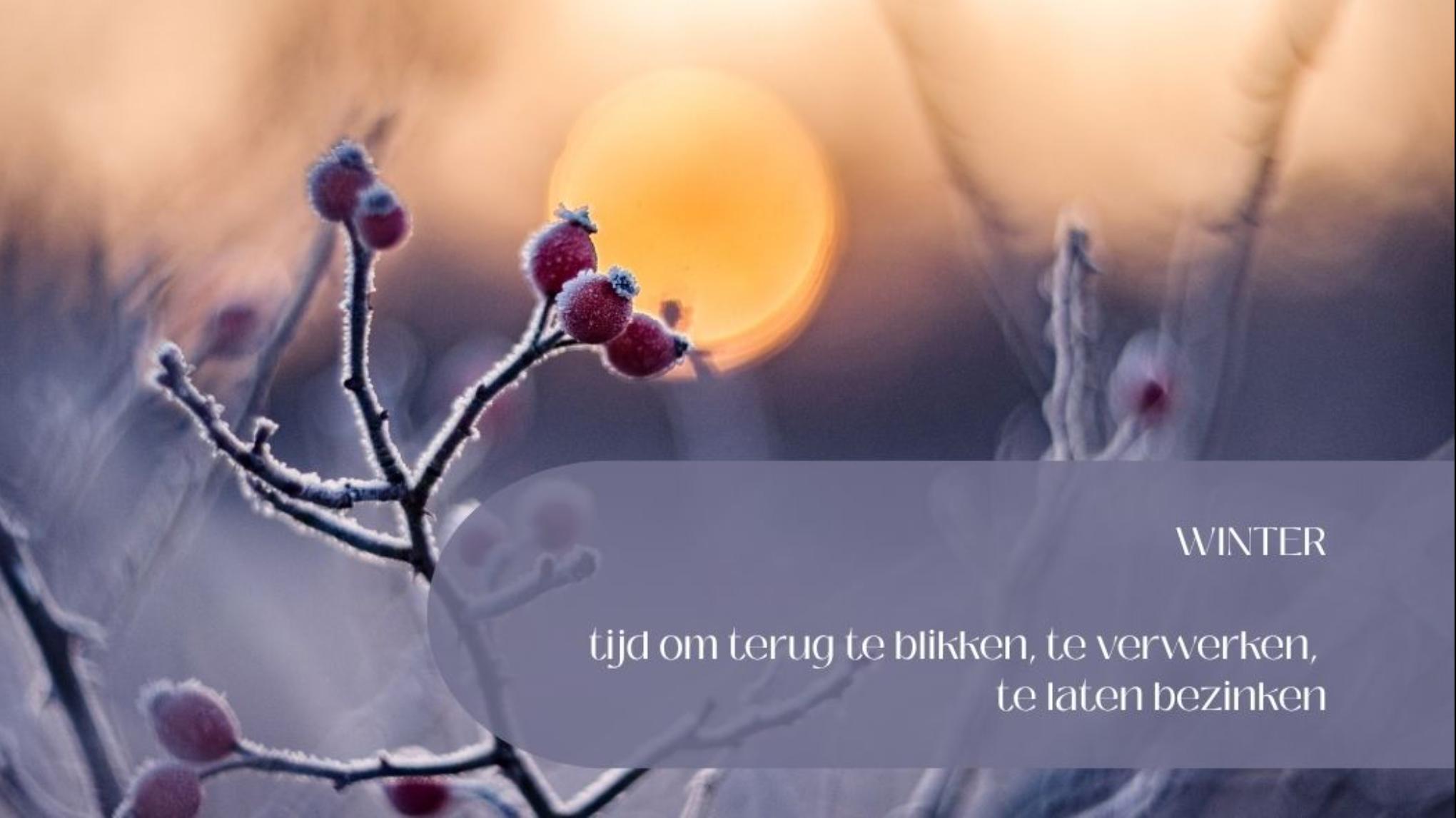 Yin Qi Flow & Yoga Nidra: Winter