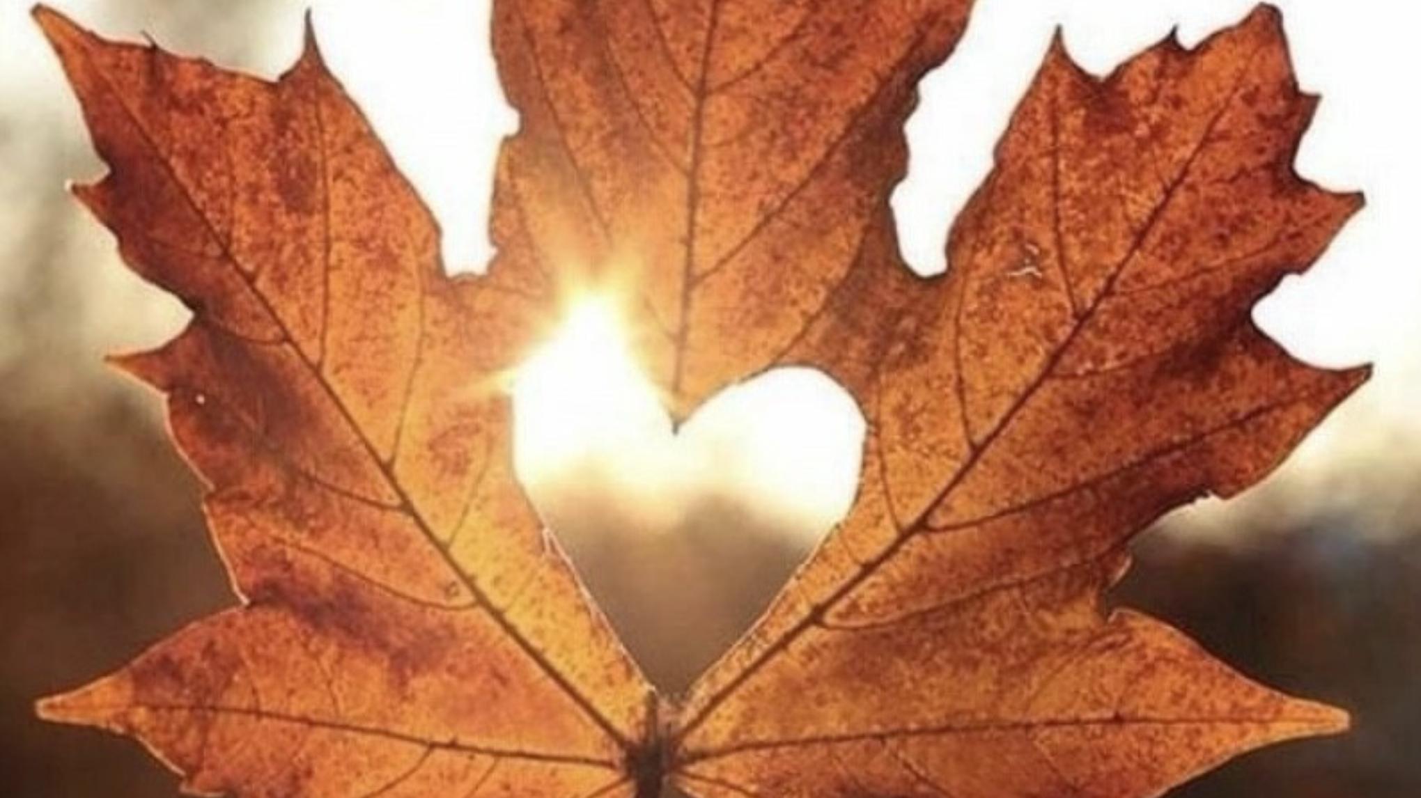 7 Days of Autumn