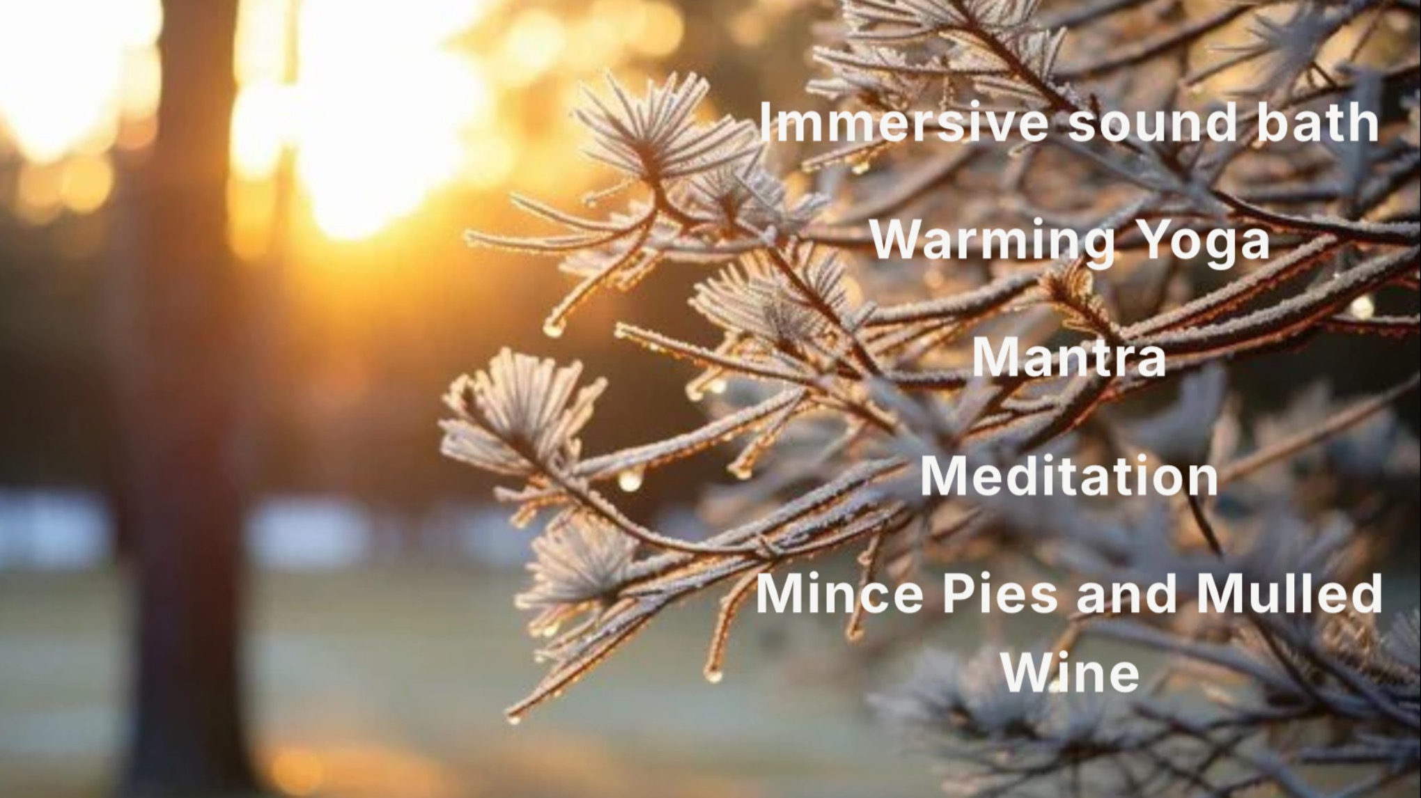 Winter Solstice Celebration with Michelle Bappoo