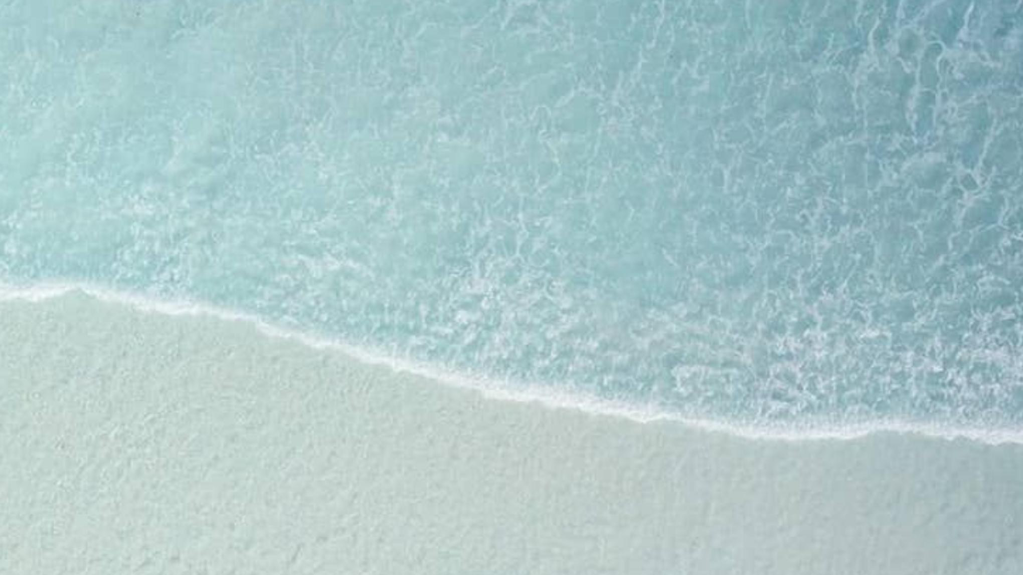 Atelier thématique - Le nerf vague (Chez Inspiration Pilates)