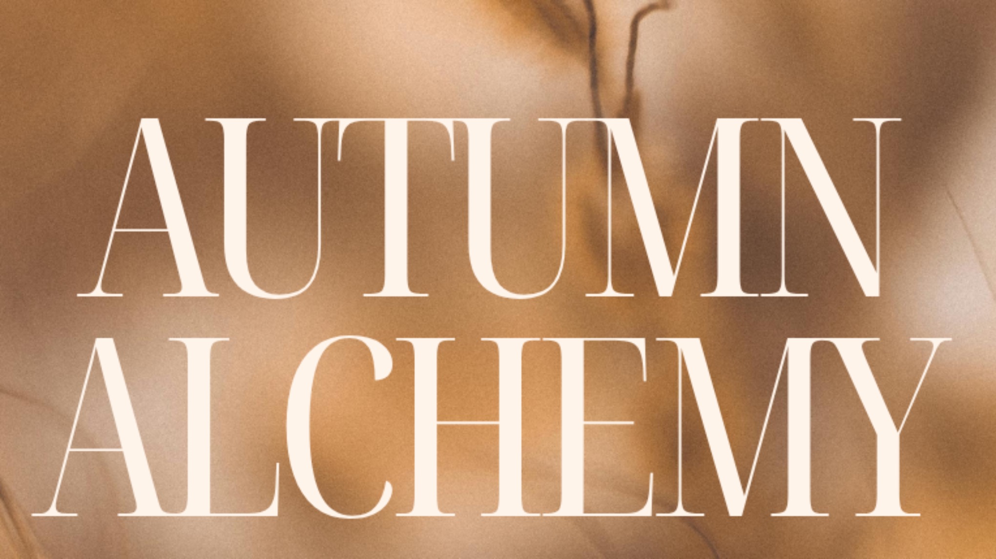 Autumn Alchemy