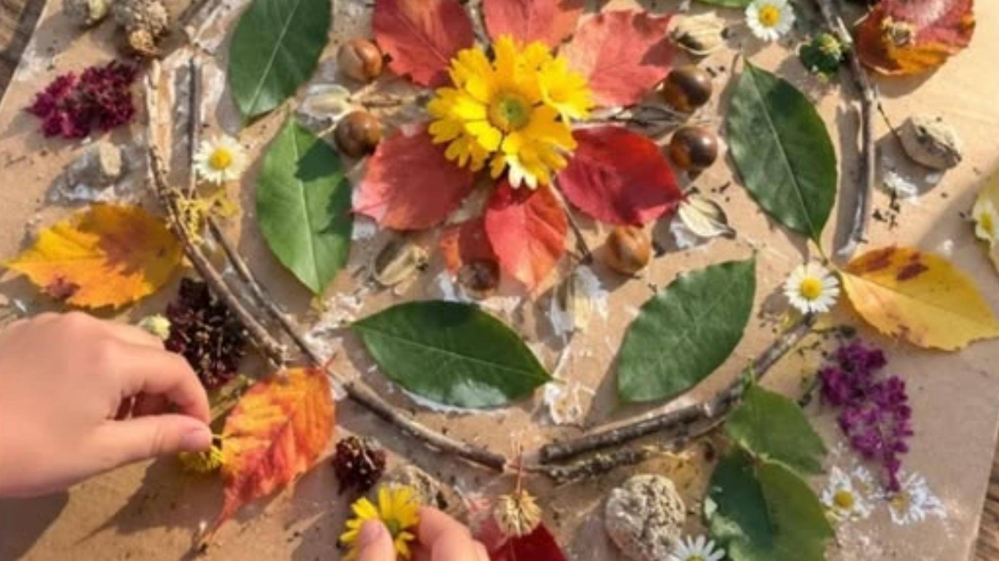 Little Roots: Growing Gratitude